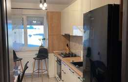 Apartament de 3 camere, 76 mp utili, curte,  Berceni
