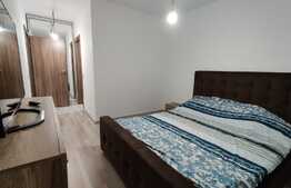 Apartament de 3 camere, 76 mp utili, curte,  Berceni