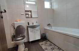 Apartament de 3 camere, 76 mp utili, curte,  Berceni