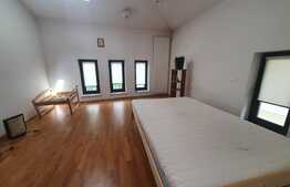 Proprietate deosebita, renovata total, curte proprie, Piata Romana 