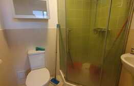 Proprietate deosebita, renovata total, curte proprie, Piata Romana 