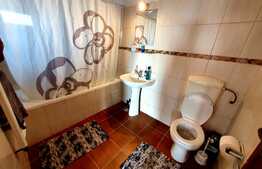 Vilă de 230 mp utili, mobilata, 844 mp teren, în comuna Berceni