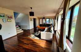 Vilă de 230 mp utili, mobilata, 844 mp teren, în comuna Berceni