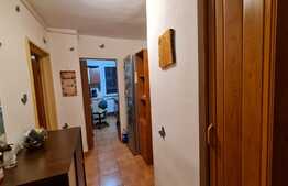 Apartament de 2 camere , 52 mp, mobilat, Drumul Taberei