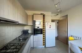 Apartament de 2 camere, la cheie, decomandat, zona Basarabia, investiție 