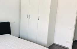 Reducerea lunii ianuarie! Apartament 3 camere, 70 mp utili, renovat premium, zona Colentina!