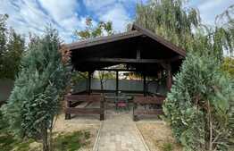 Casă de 6 camere, de lux, 227 mp utili, în Vârteju, Măgurele, ideală pentru familie