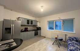 Apartament 2 camere, 38 mp, zona Ozana, ideal investiție
