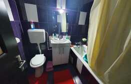 Apartament 2 camere, zona Dristor