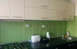 Apartament 2 camere, zona Dristor