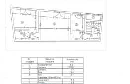 Oportunitate investiție! Casă cu 3 apartamente, zona Balta Albă