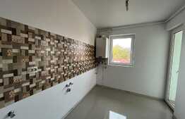 Oportunitate investiție! Casă cu 3 apartamente, zona Balta Albă