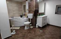 Apartament de 4 camere cu terasa 20 mp, 107 mp, zona Piața Victoriei