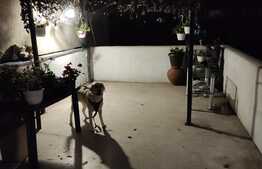 Apartament de 4 camere cu terasa 20 mp, 107 mp, zona Piața Victoriei