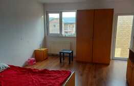 Casa de vanzare 340 mp utili si 80 mp curte, zona Dobroesti