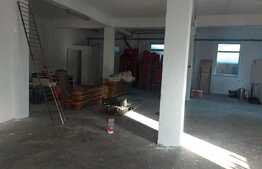 Casa de vanzare 340 mp utili si 80 mp curte, zona Dobroesti