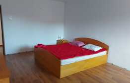 Casa de vanzare 340 mp utili si 80 mp curte, zona Dobroesti