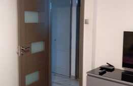 Apartament de 3 camere, renovat, Titan