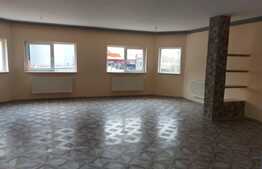 Vila superbă Fundeni curte de 960 mp. garaj și casa de oaspeți