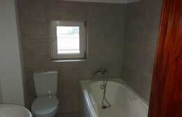 Vila superbă Fundeni curte de 960 mp. garaj și casa de oaspeți