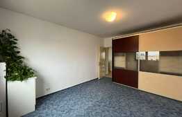 Apartament de 2 camere, 55 mp, zona Tineretului, 5 minute de parcul Tineretului 