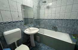 Apartament de 2 camere, 55 mp, zona Tineretului, 5 minute de parcul Tineretului 