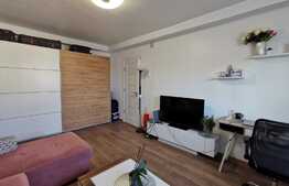 Apartament cochet de 2 camere, centrală proprie, parcare,  zona Parcul Tineretului