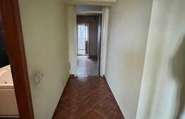 Apartament de 4 camere Calea Mosilor