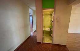 Apartament de 4 camere Calea Mosilor