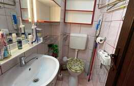 Apartament 4 camere langa parcul Morarilor cu centrala proprie