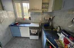 Apartament 4 camere langa parcul Morarilor cu centrala proprie