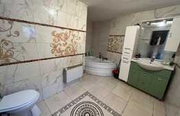 Vila P+1, zona B-dul Unirii, Traian