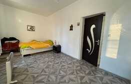 Vila P+1, zona B-dul Unirii, Traian