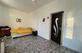 Vila P+1, zona B-dul Unirii, Traian