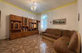 Vila P+1, zona B-dul Unirii, Traian