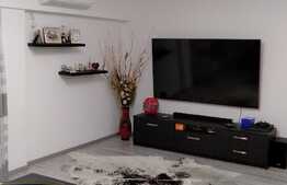 Apartament de 3 camere, finisaj deosebit, mobilat si utilat, 1 Decembrie - Trapezului