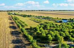 Casa superba de 4 camere in mijlocul naturii, Afumati!