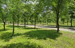 Casa superba de 4 camere in mijlocul naturii, Afumati!