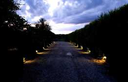 Casa superba de 4 camere in mijlocul naturii, Afumati!