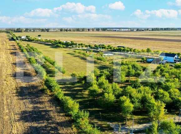 Casa de vânzare 4 camere Afumati - 76010CV | BLITZ București | Poza3