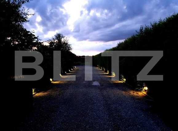 Casa de vânzare 4 camere Afumati - 76010CV | BLITZ București | Poza4