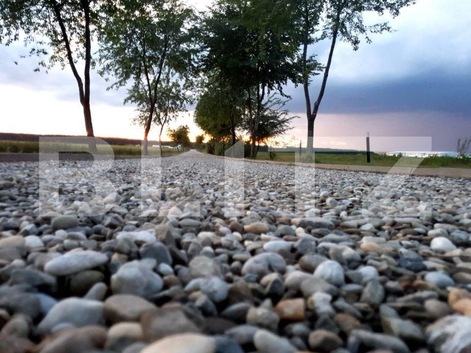 Casa de vânzare 4 camere Afumati - 76010CV | BLITZ București | Poza5