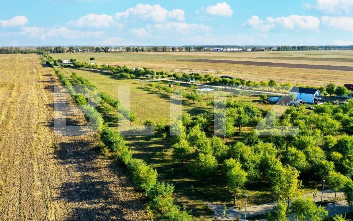 Casa de vânzare 4 camere Afumati - 76010CV | BLITZ București | Poza3