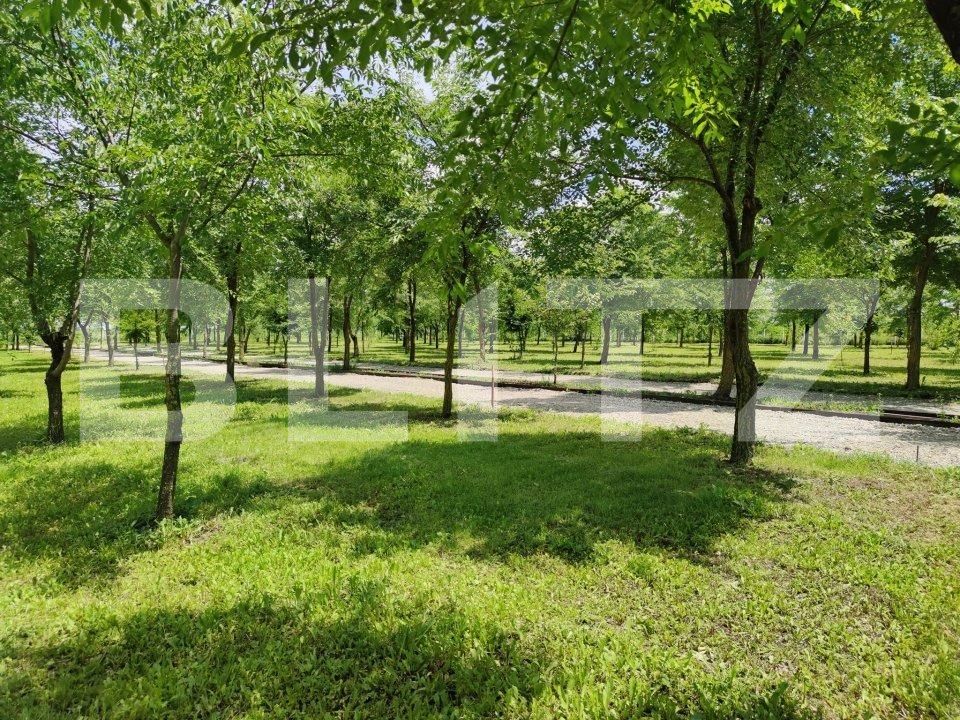 Casa de vânzare 4 camere Afumati - 76010CV | BLITZ București | Poza6