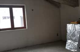 Casa de 300 mp utili, garaj, zona Parc Tineretului