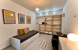 Garsonieră cozy, mobilată si utilată, zona Floreasca