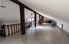 Vila superba de vanzare, 350 mp utili, mobilata, Snagov!