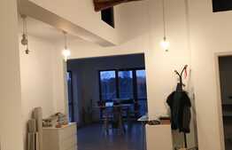 Apartament 3 camere, 85 mp, open space, terasa 33 mp, Gradina Icoanei