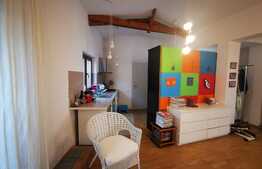 Apartament 3 camere, 85 mp, open space, terasa 33 mp, Gradina Icoanei