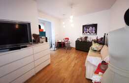 Apartament 3 camere, 85 mp, open space, terasa 33 mp, Gradina Icoanei